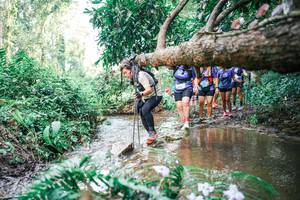 BIB: 
                            <button type="button" onclick="openModal(25515814)" class="btn btn-primary btn-sm float-right btn-popup" data-toggle="modal" data-target=".modal-high-quality">
                        <i class="fas fa-shopping-cart"></i> Add to Cart
                    </button>
                                            <button type="button" onclick="isThisMe(25515814, true)" class="btn btn-success btn-sm float-right btn-popup btn-isme hidden" data-toggle="tooltip" data-placement="bottom" title="นี่คือรูปของคุณใช่ไหม คลิกที่นี่เพื่อเอาเข้าอัลบั้ม">
                        <i class="fas fa-plus"></i> Add to album
                    </button>
                    <button type="button" onclick="isThisMe(25515814, false)" class="btn btn-warning btn-sm float-right btn-popup btn-isnotme hidden">
                        <i class="fas fa-ban"></i> Remove from album
                    </button>